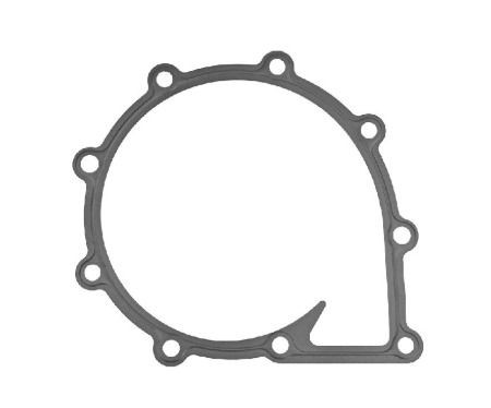 Прокладки/уплотнения/сальники