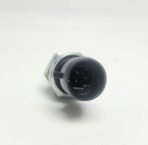 Датчик давления воздуха в ресивер HOWO T5G WG9727710002 OEM — 2