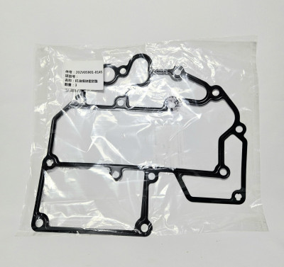 Прокладка модуля масляного фильтра Sitrak CHINA 202V05901-0145 Sinotruk