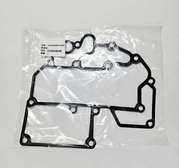 Прокладка модуля масляного фильтра Sitrak CHINA 202V05901-0145 Sinotruk — 1