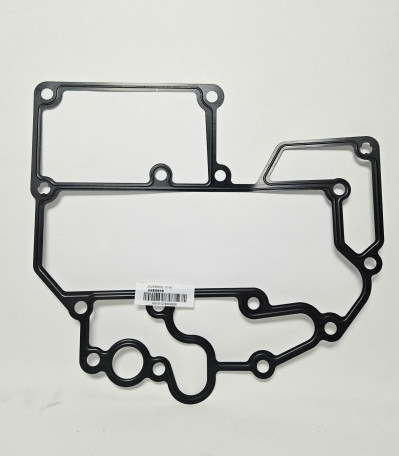 Прокладка модуля масляного фильтра Sitrak CHINA 202V05901-0145 Sinotruk